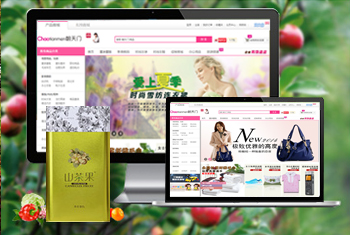 ï���������̳�