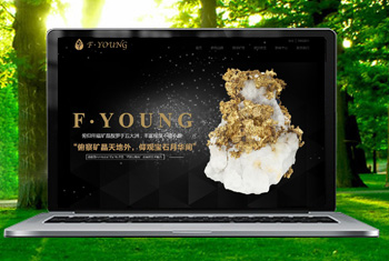 ï���������ﱦʯ